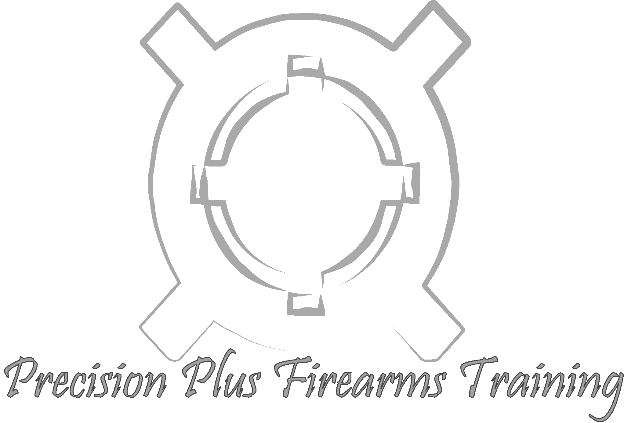 Precision Plus Logo